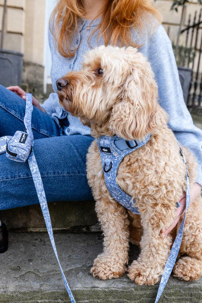 Laura Ashley Dog Harness - Shepherd's Purse