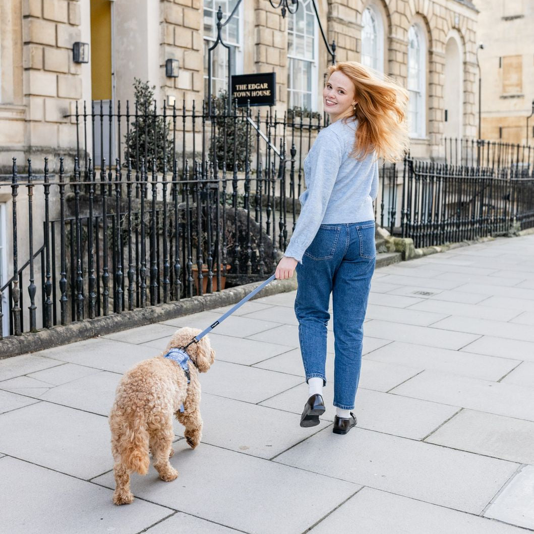 Woman walking a dog on a leash in an urban setting with a building in the background