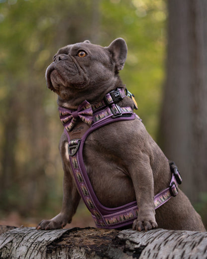 Dog wearing a purple harness and bow tie sitting on a log in a forest