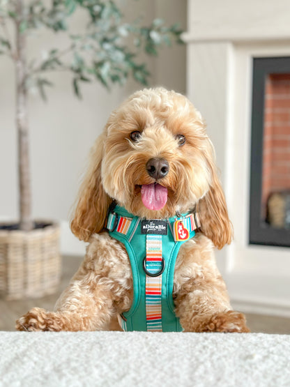 Hike & Go™ Harness - Seafoam Sunset