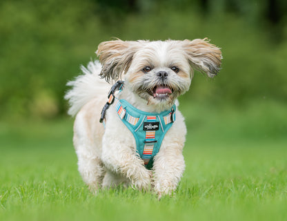 Hike & Go™ Harness - Seafoam Sunset