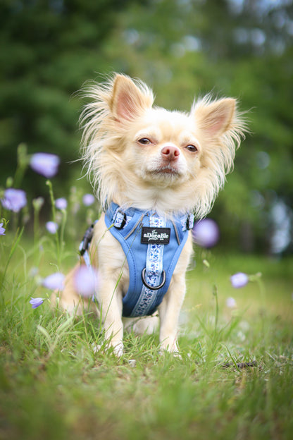 Hike & Go™ Harness - Cornflower Bloom