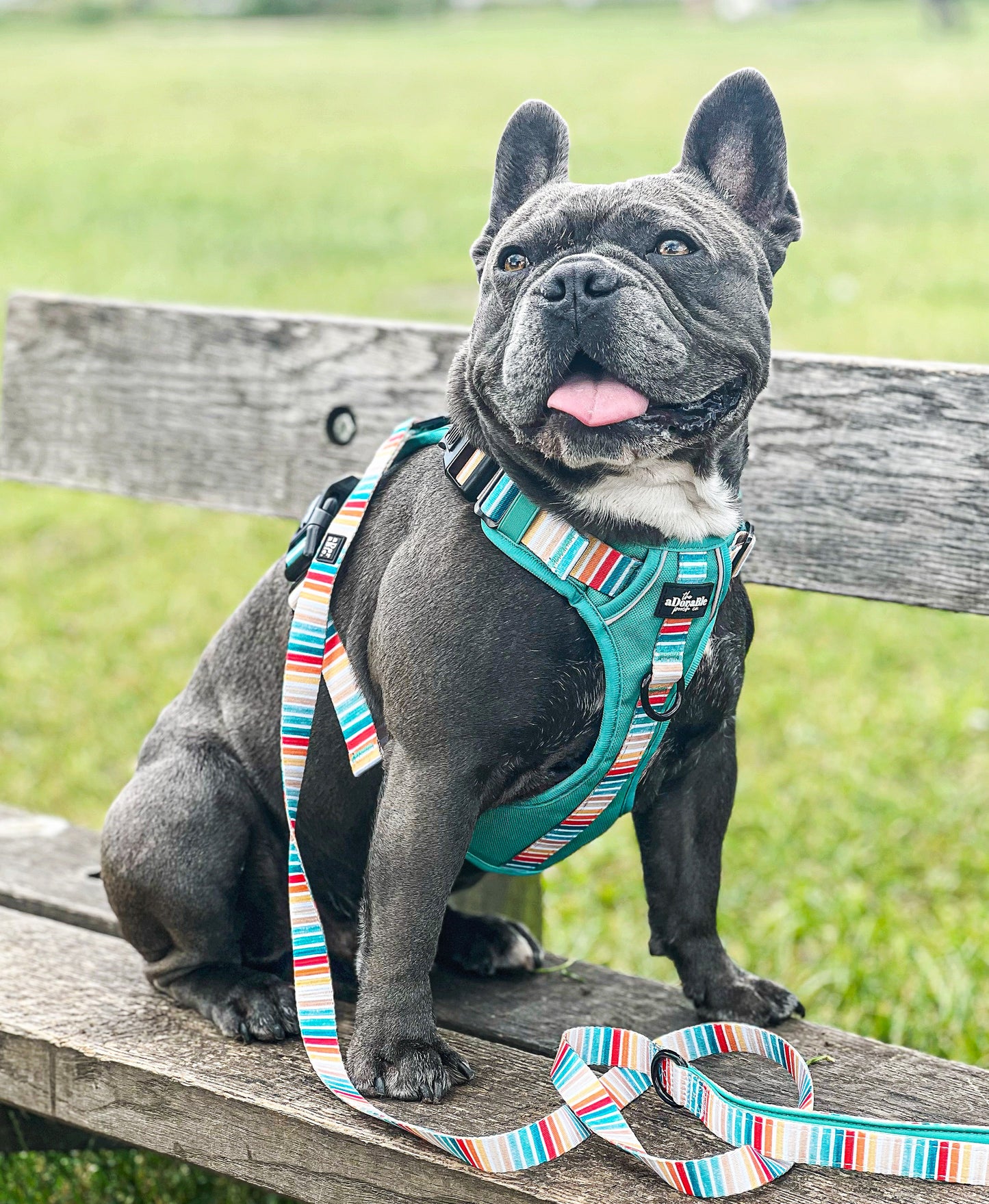 Hike & Go™ Harness - Seafoam Sunset