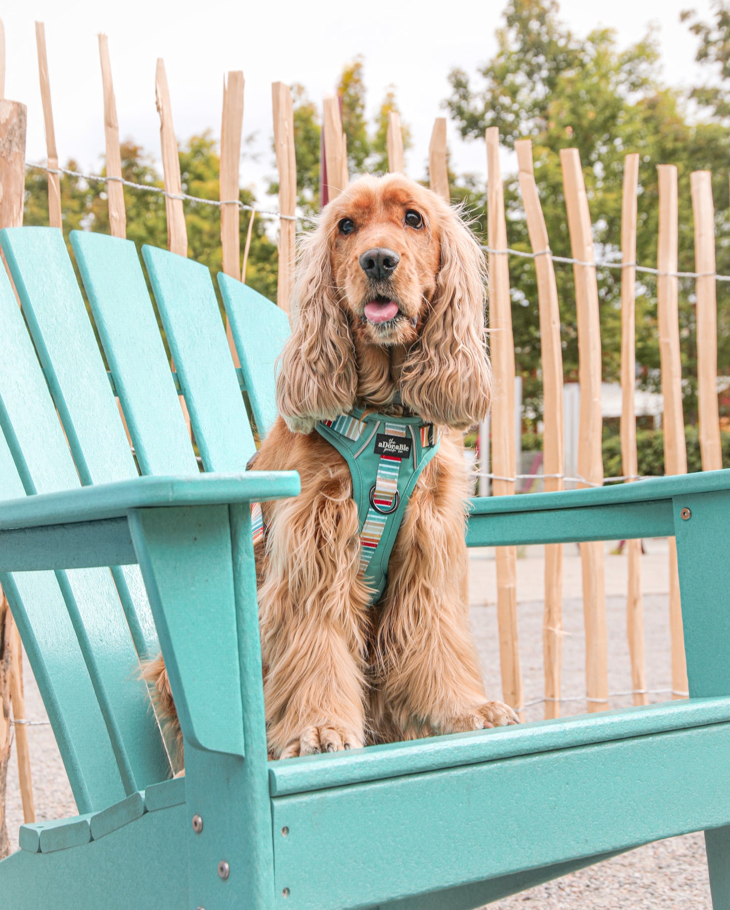 Hike & Go™ Harness - Seafoam Sunset