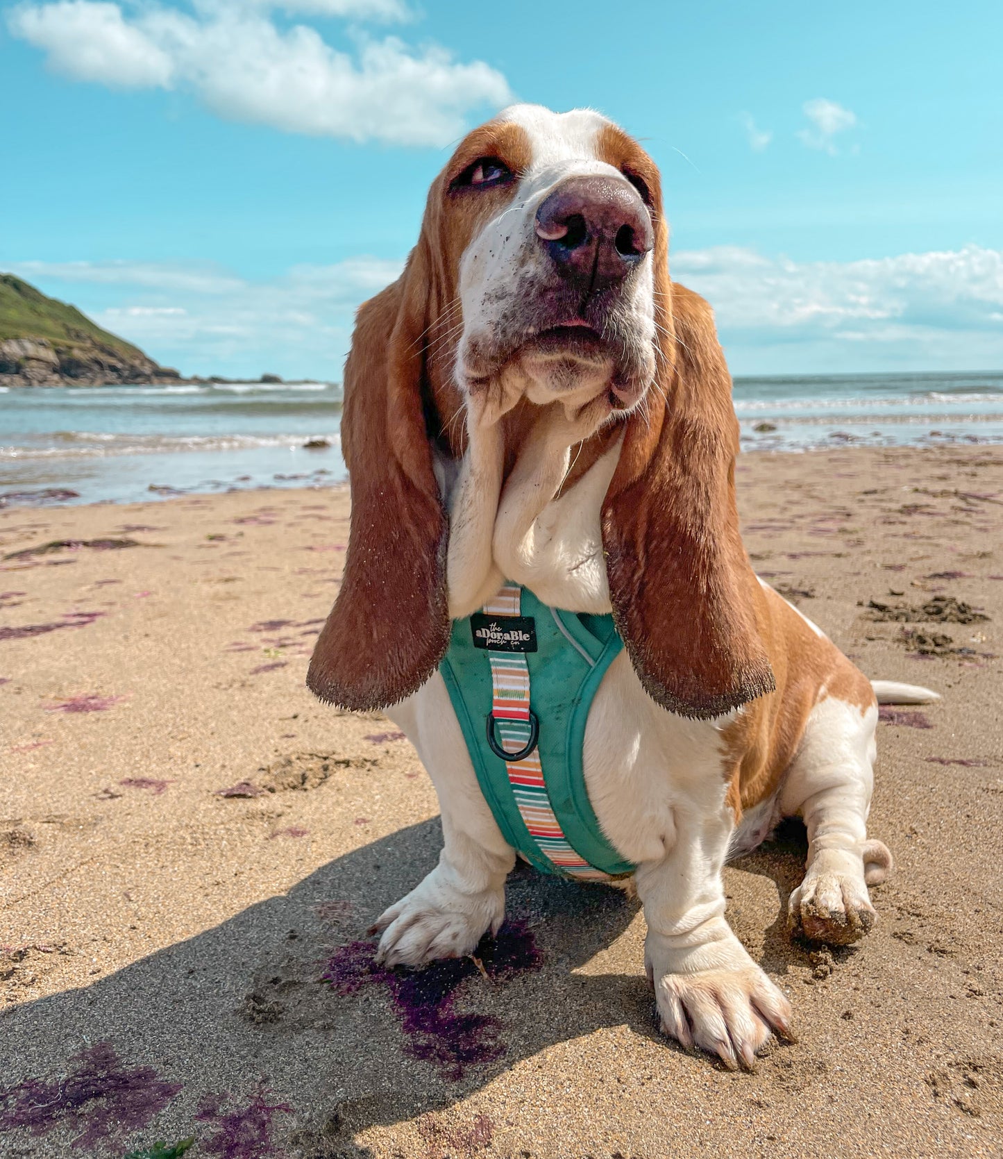 Hike & Go™ Harness - Seafoam Sunset