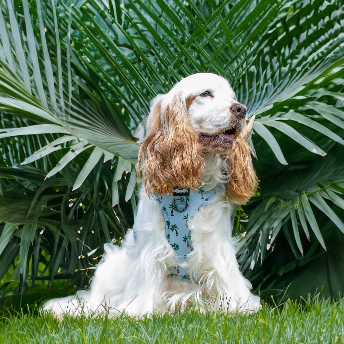 Adjustable Harness - Palm Springs