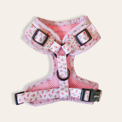 Adjustable Harness - English Rose