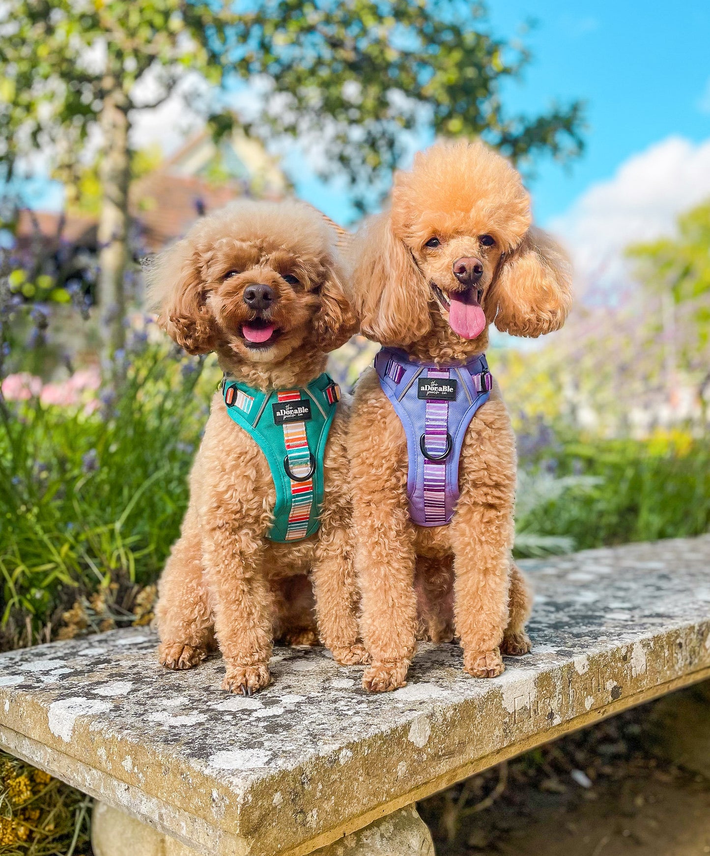 Hike & Go™ Harness - Violet Dusk