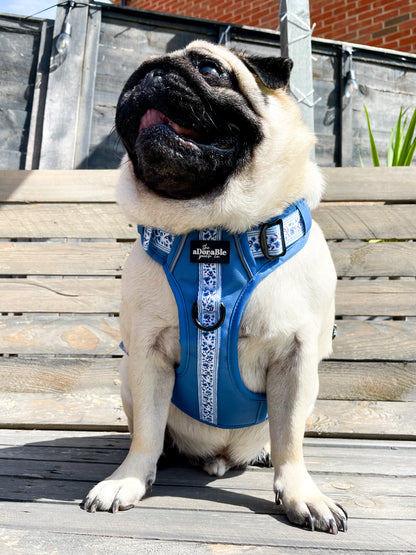 Hike & Go™ Harness - Cornflower Bloom