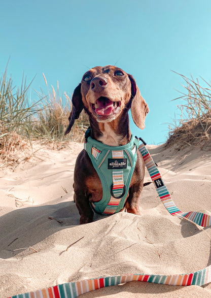 Hike & Go™ Harness - Seafoam Sunset