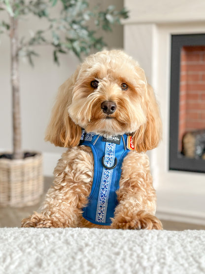 Hike & Go™ Harness - Cornflower Bloom