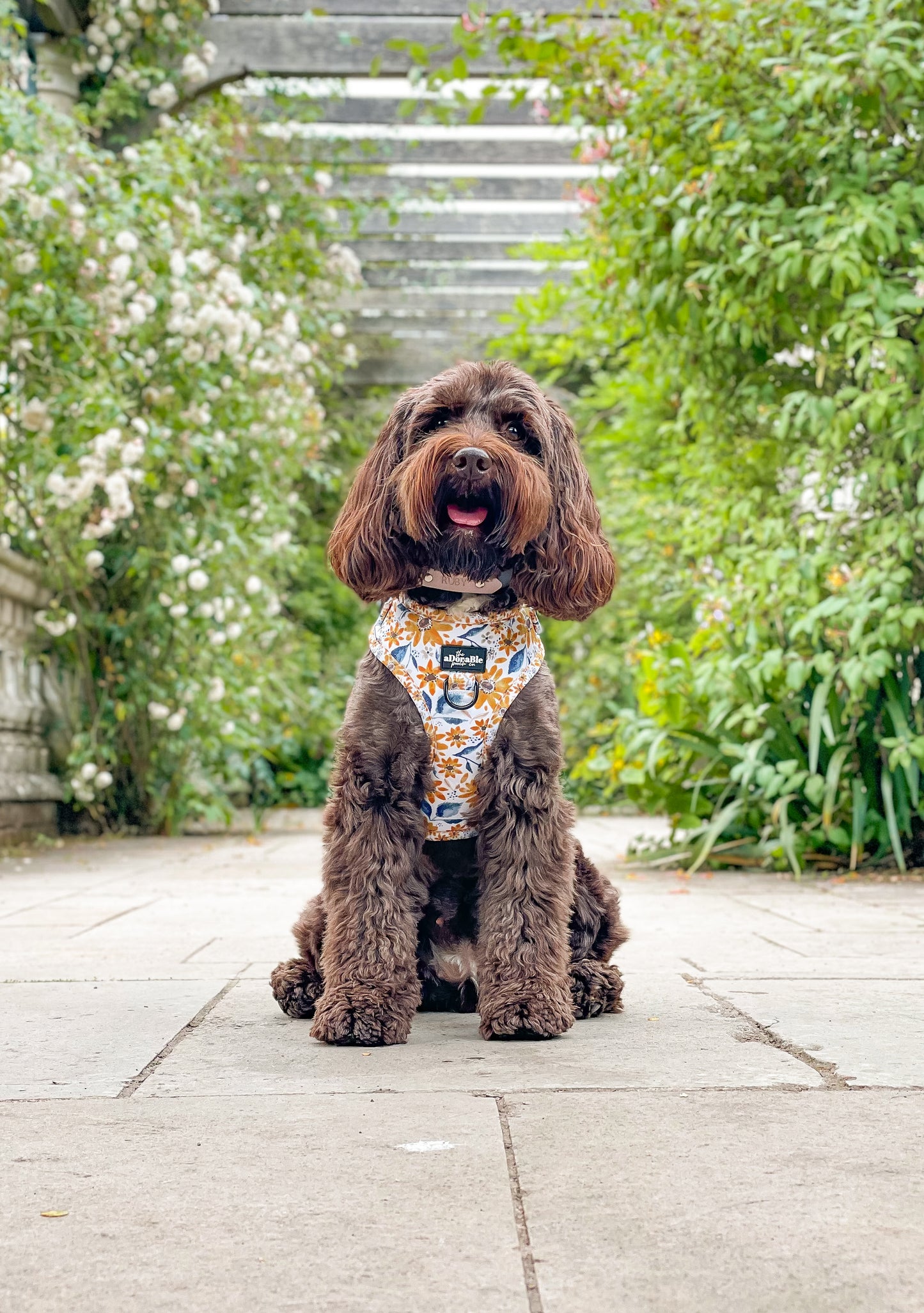 Adjustable Harness - Sunflower Meadow