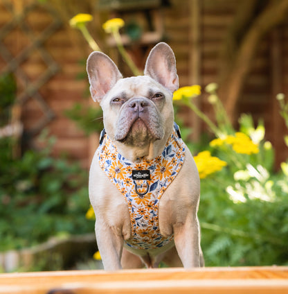 Adjustable Harness - Sunflower Meadow