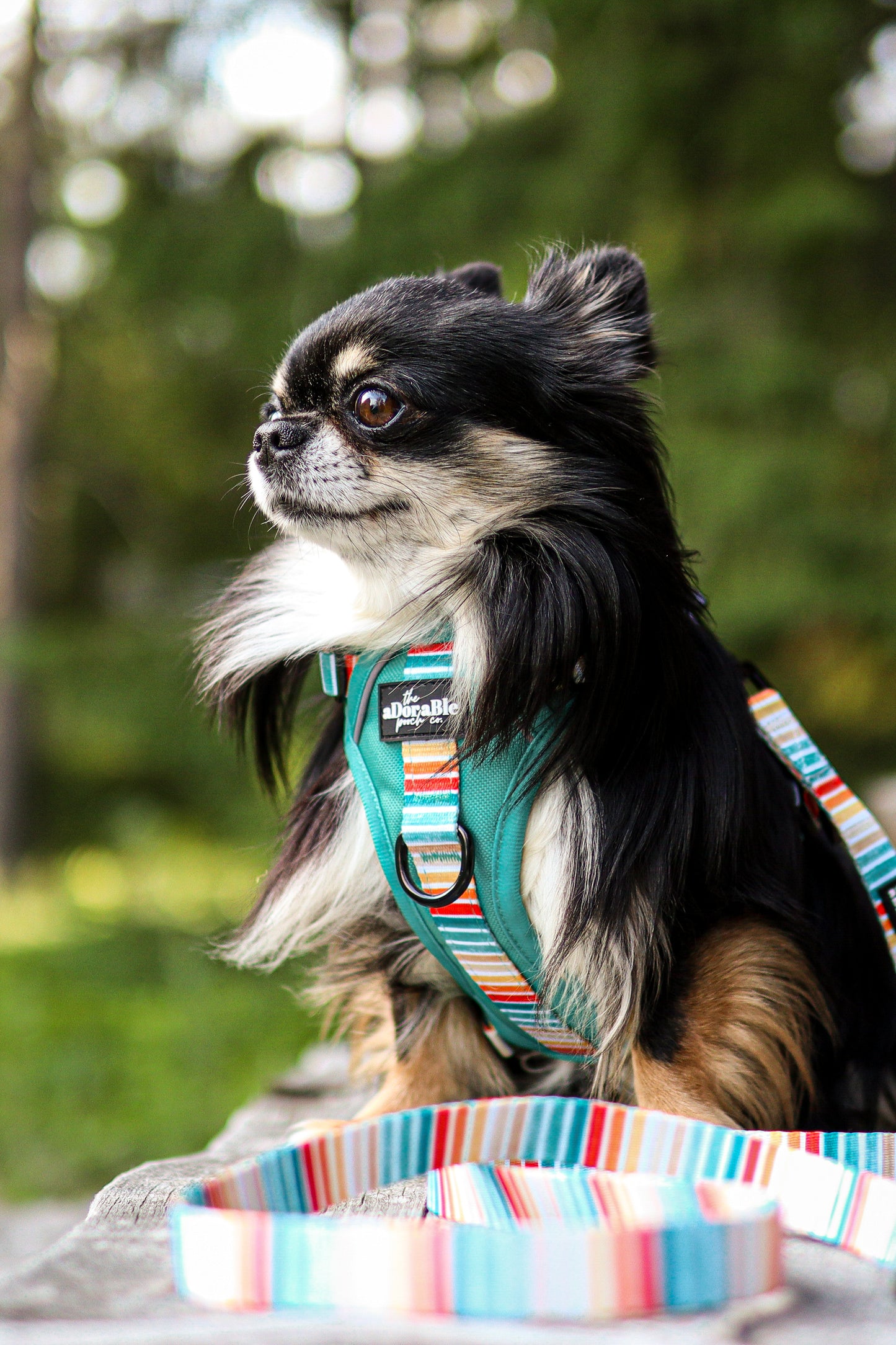 Hike & Go™ Harness - Seafoam Sunset