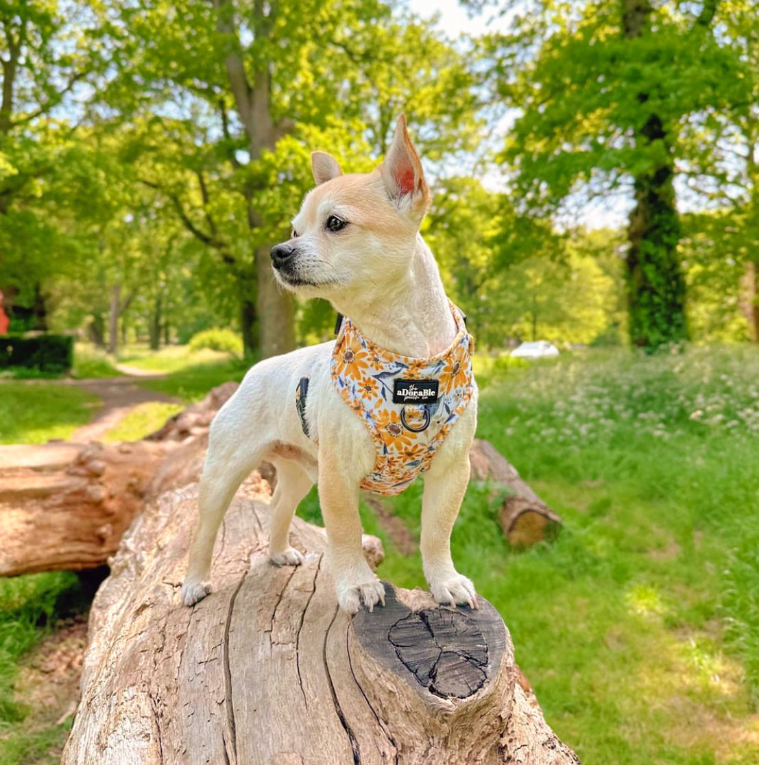 Adjustable Harness - Sunflower Meadow