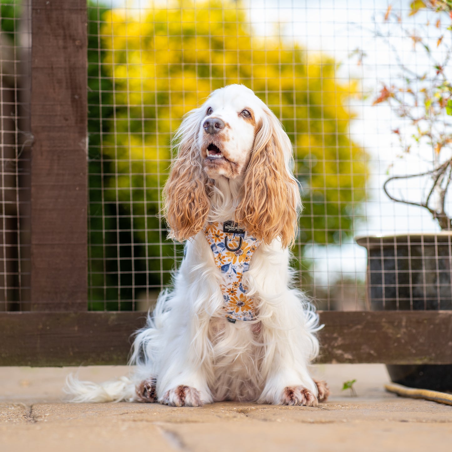 Adjustable Harness - Sunflower Meadow