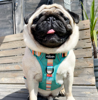 Hike & Go™ Harness - Seafoam Sunset