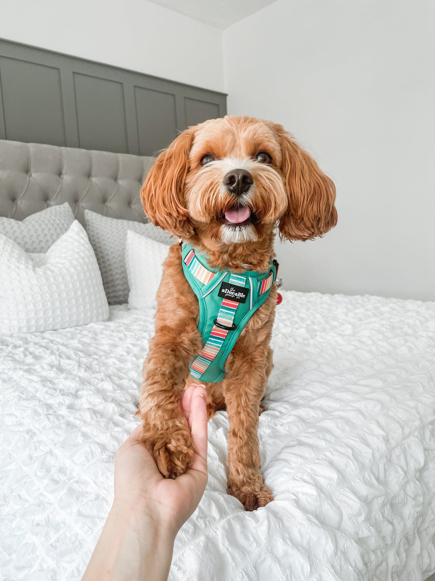 Hike & Go™ Harness - Seafoam Sunset