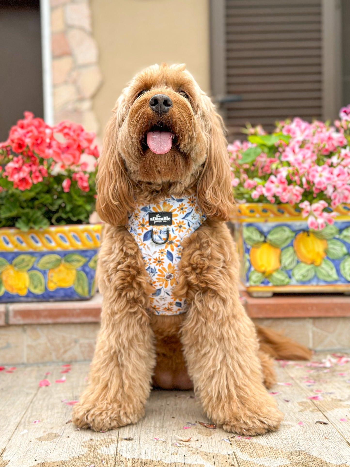 Adjustable Harness - Sunflower Meadow