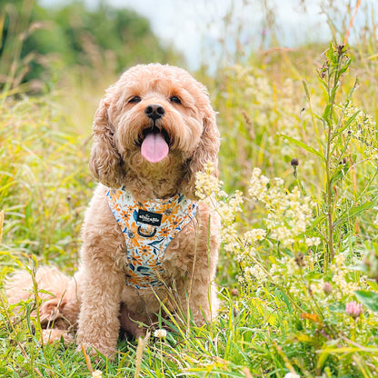 Adjustable Harness - Sunflower Meadow