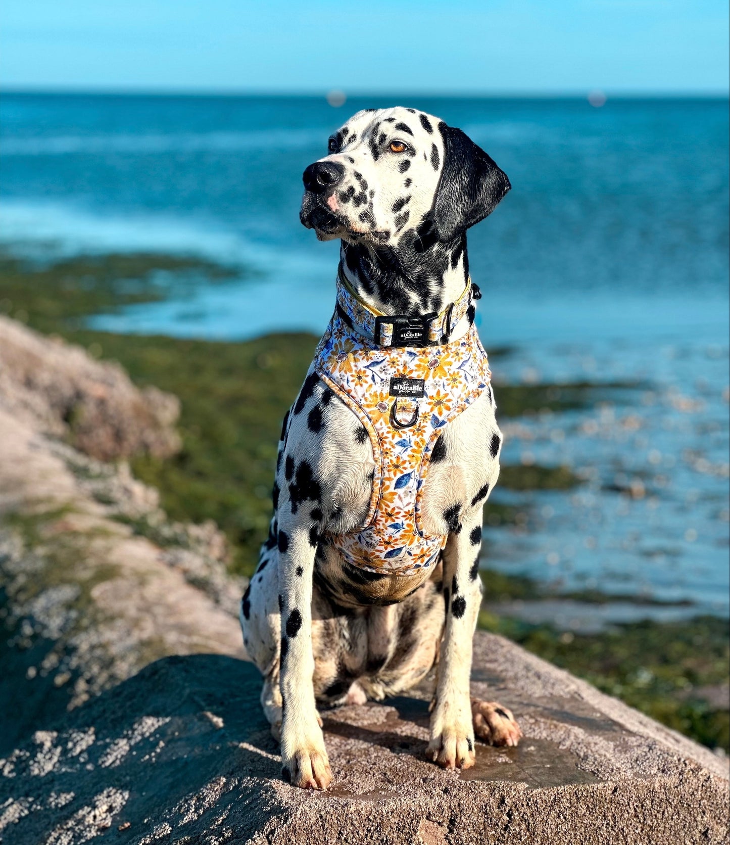 Adjustable Harness - Sunflower Meadow