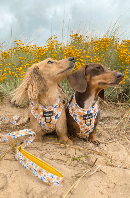 Adjustable Harness - Sunflower Meadow