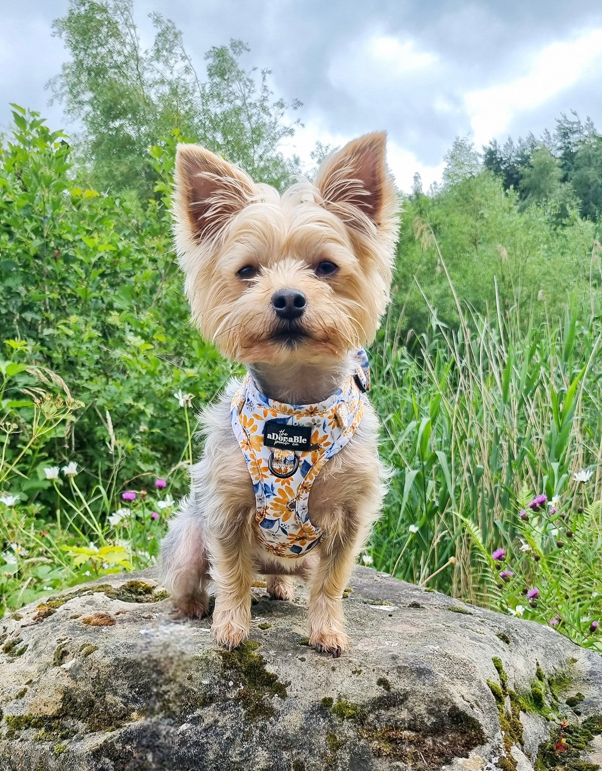 Adjustable Harness - Sunflower Meadow