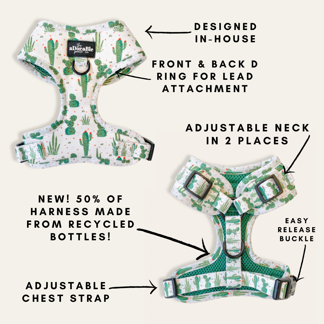 Adjustable Harness - Aloe Arizona