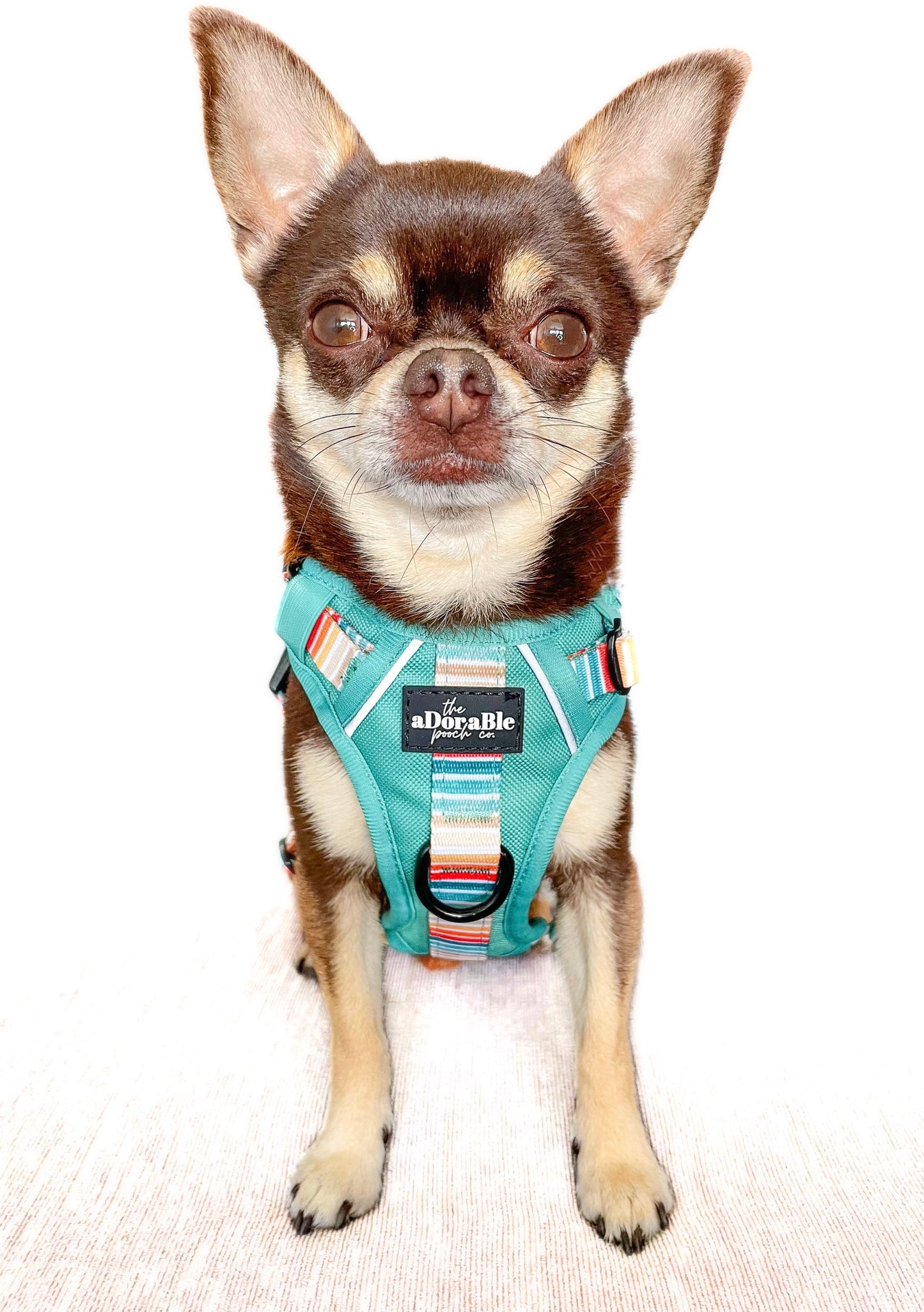 Hike & Go™ Harness - Seafoam Sunset