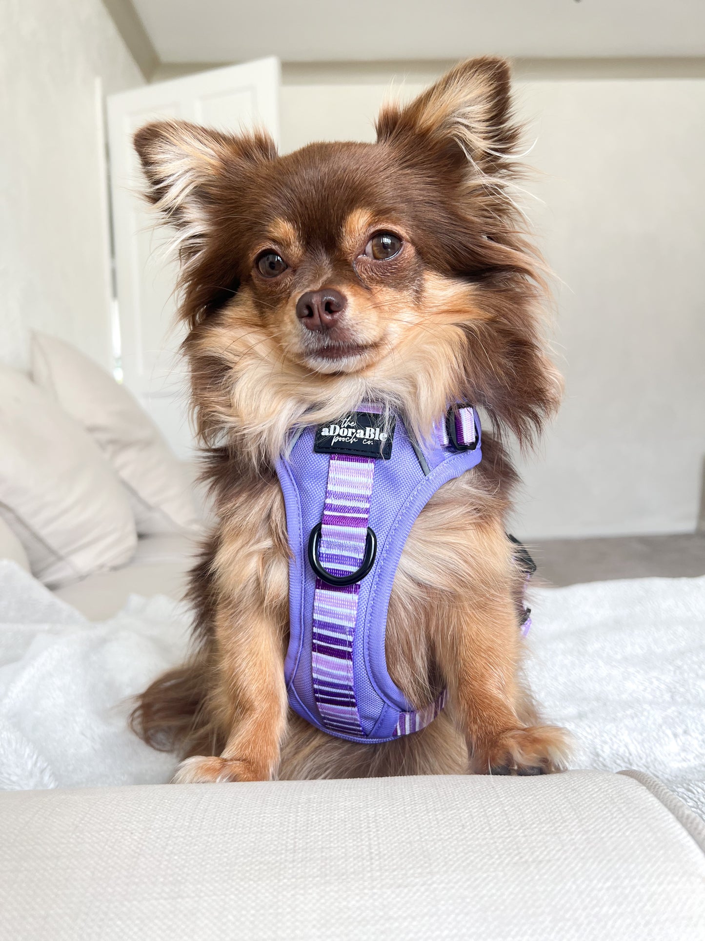 Hike & Go™ Harness - Violet Dusk