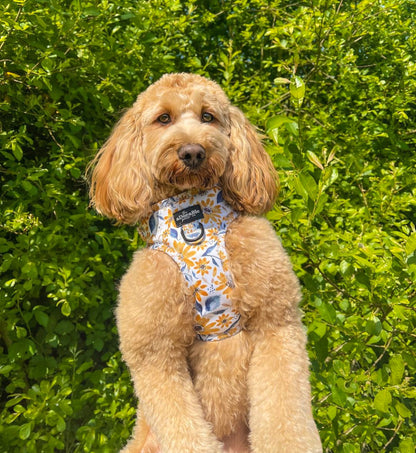 Adjustable Harness - Sunflower Meadow