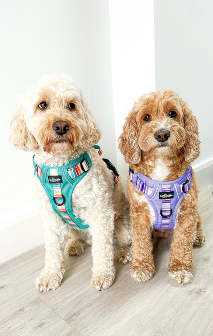 Hike & Go™ Harness - Seafoam Sunset