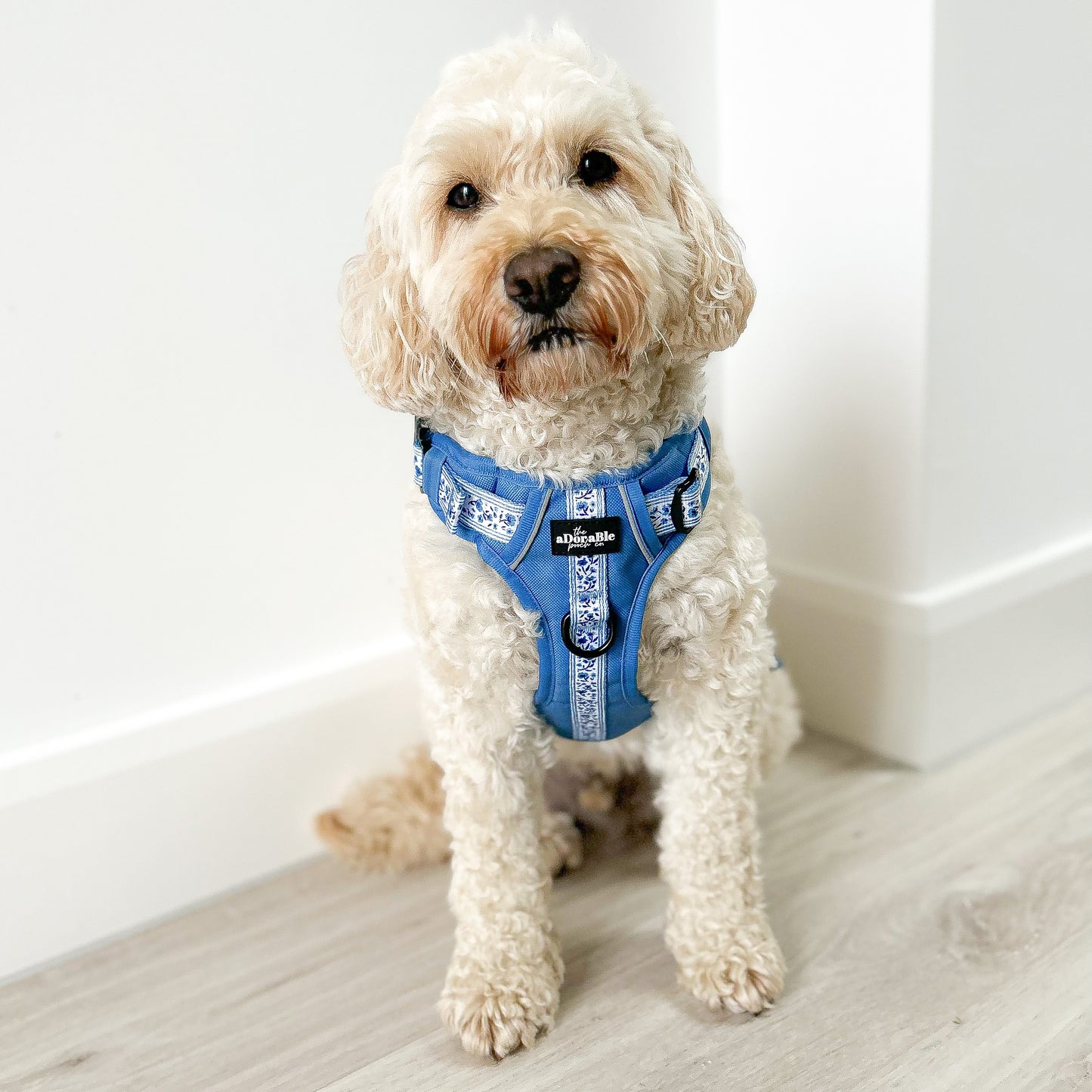 Hike & Go™ Harness - Cornflower Bloom