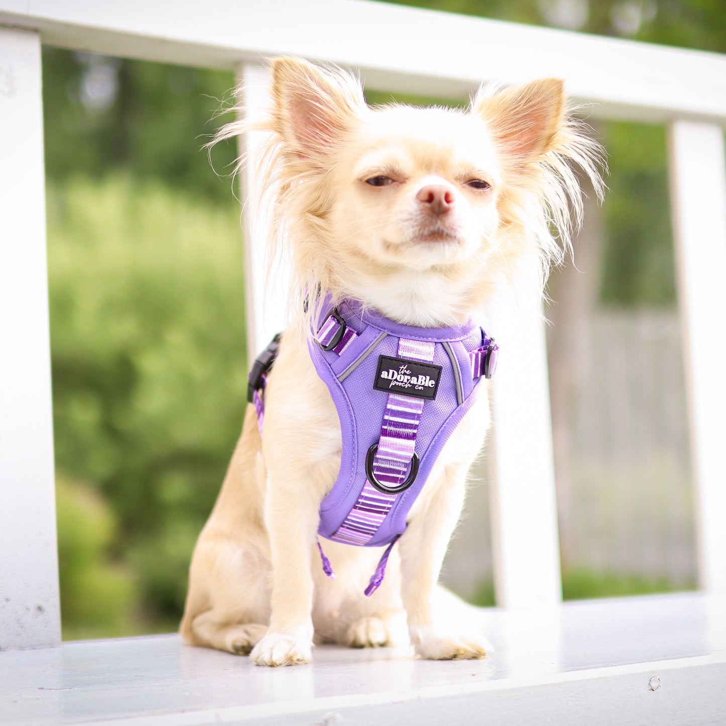 Hike & Go™ Harness - Violet Dusk