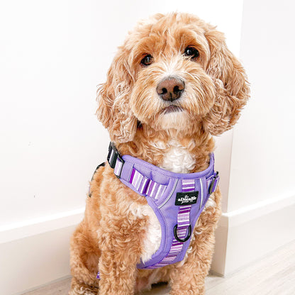 Hike & Go™ Harness - Violet Dusk