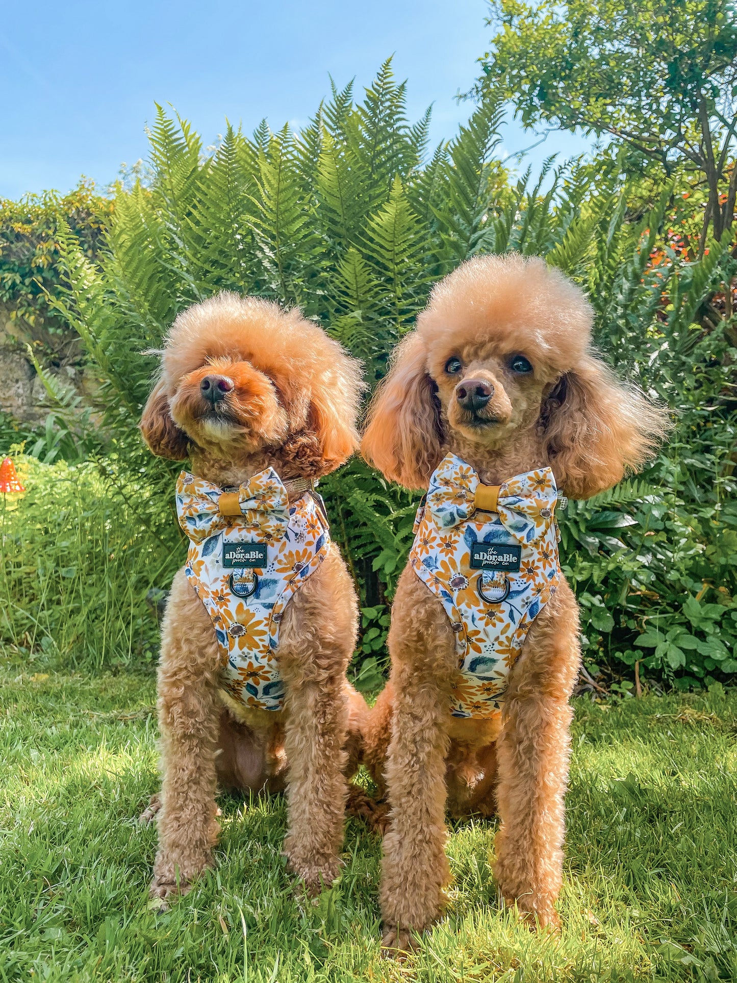 Adjustable Harness - Sunflower Meadow