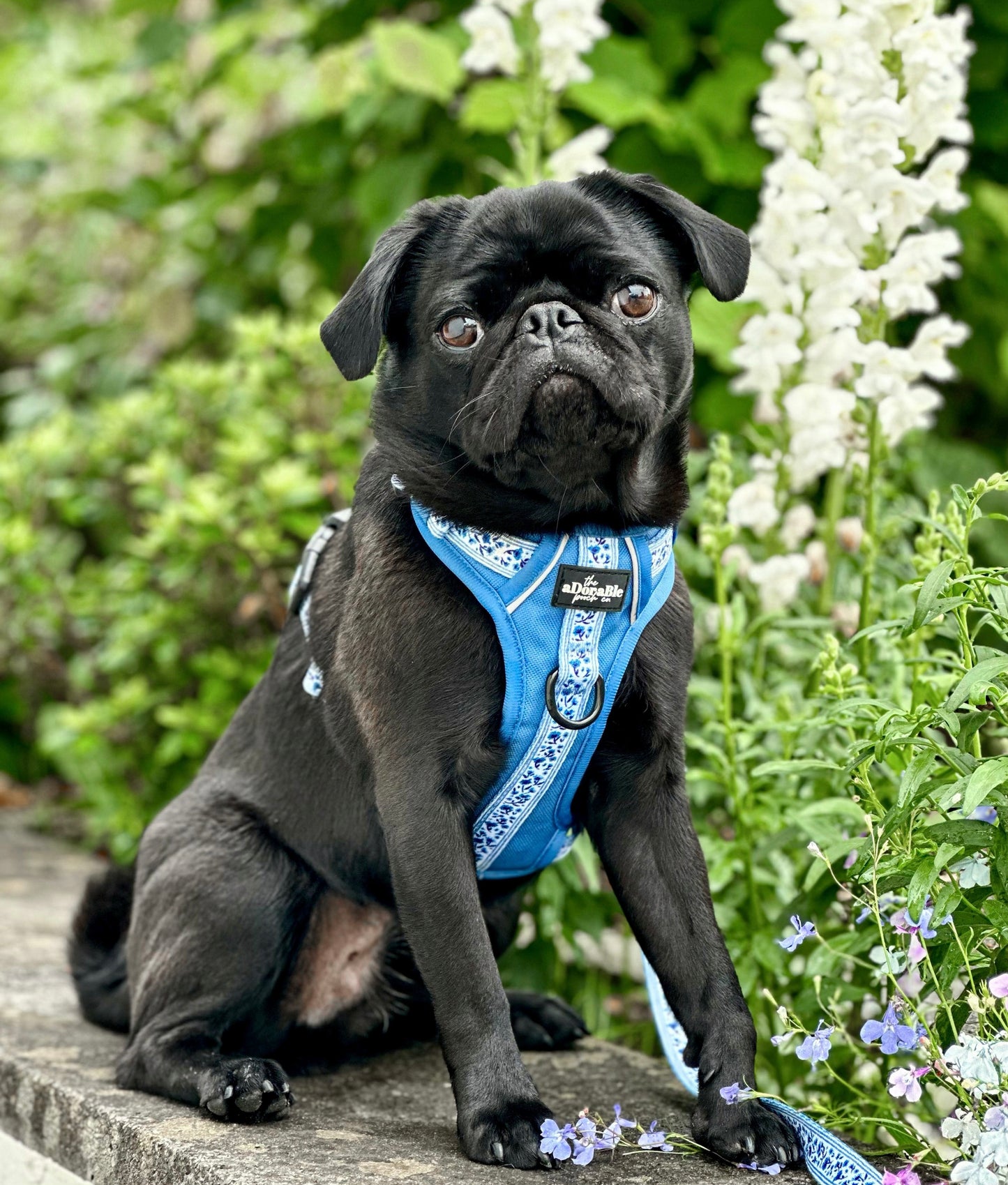 Hike & Go™ Harness - Cornflower Bloom