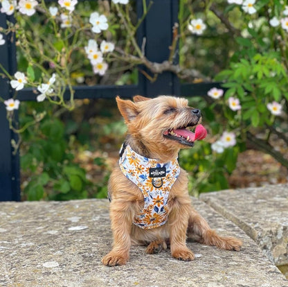 Adjustable Harness - Sunflower Meadow