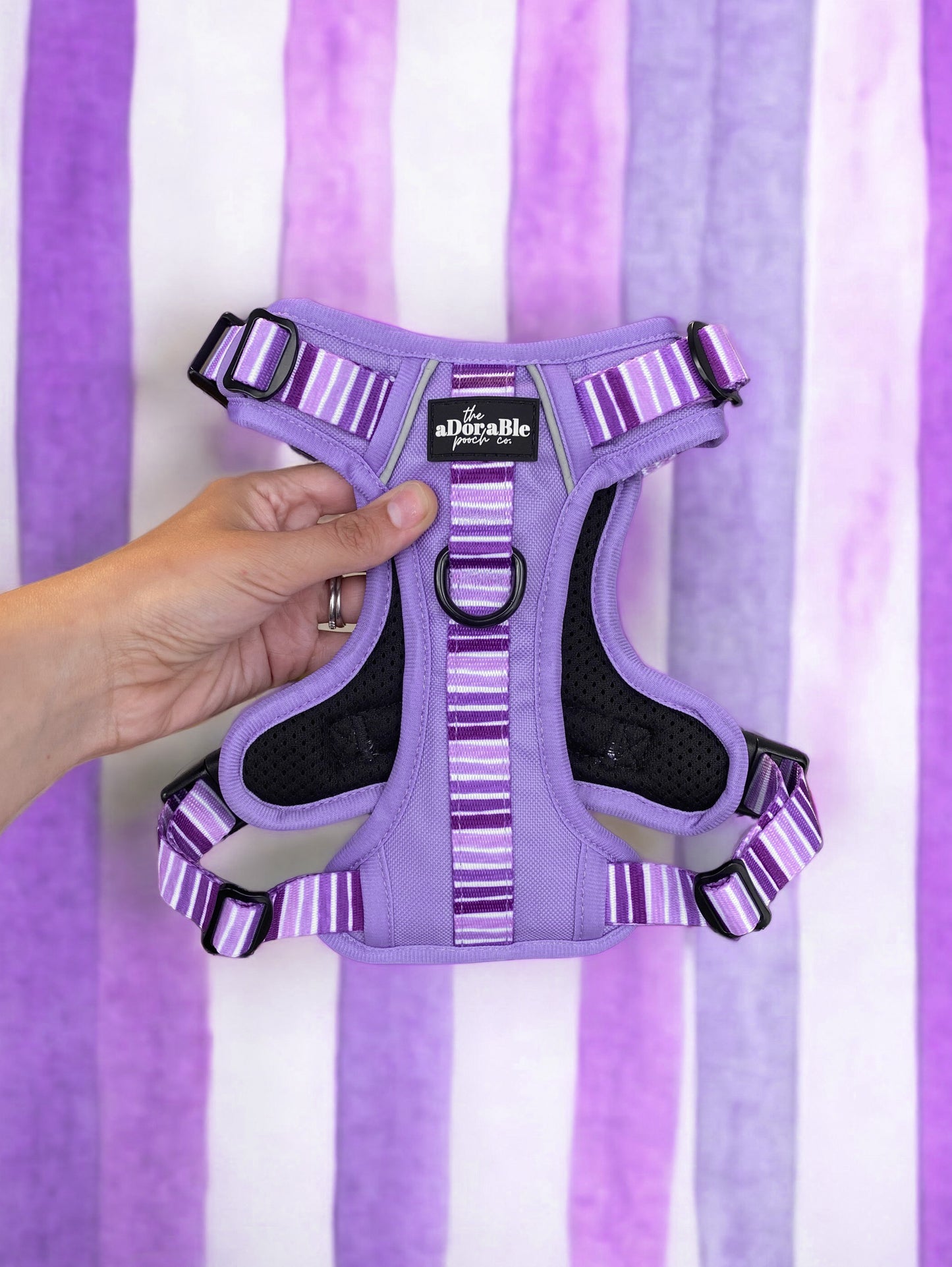 Hike & Go™ Harness - Violet Dusk