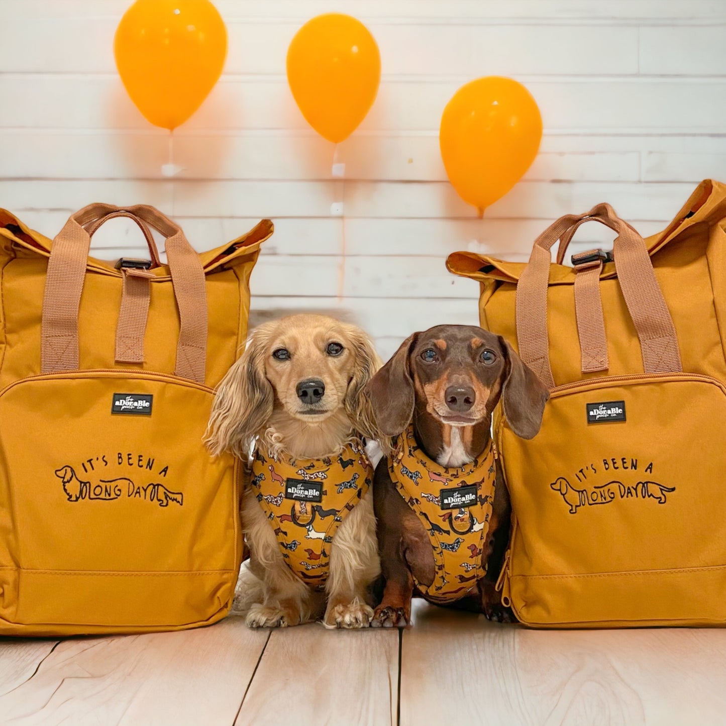 Mini Backpack - Dachshund - 'It's been a long day'