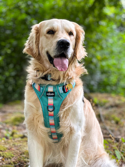 Hike & Go™ Harness - Seafoam Sunset