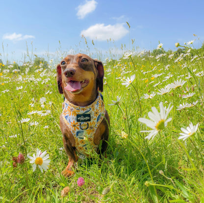 Adjustable Harness - Sunflower Meadow