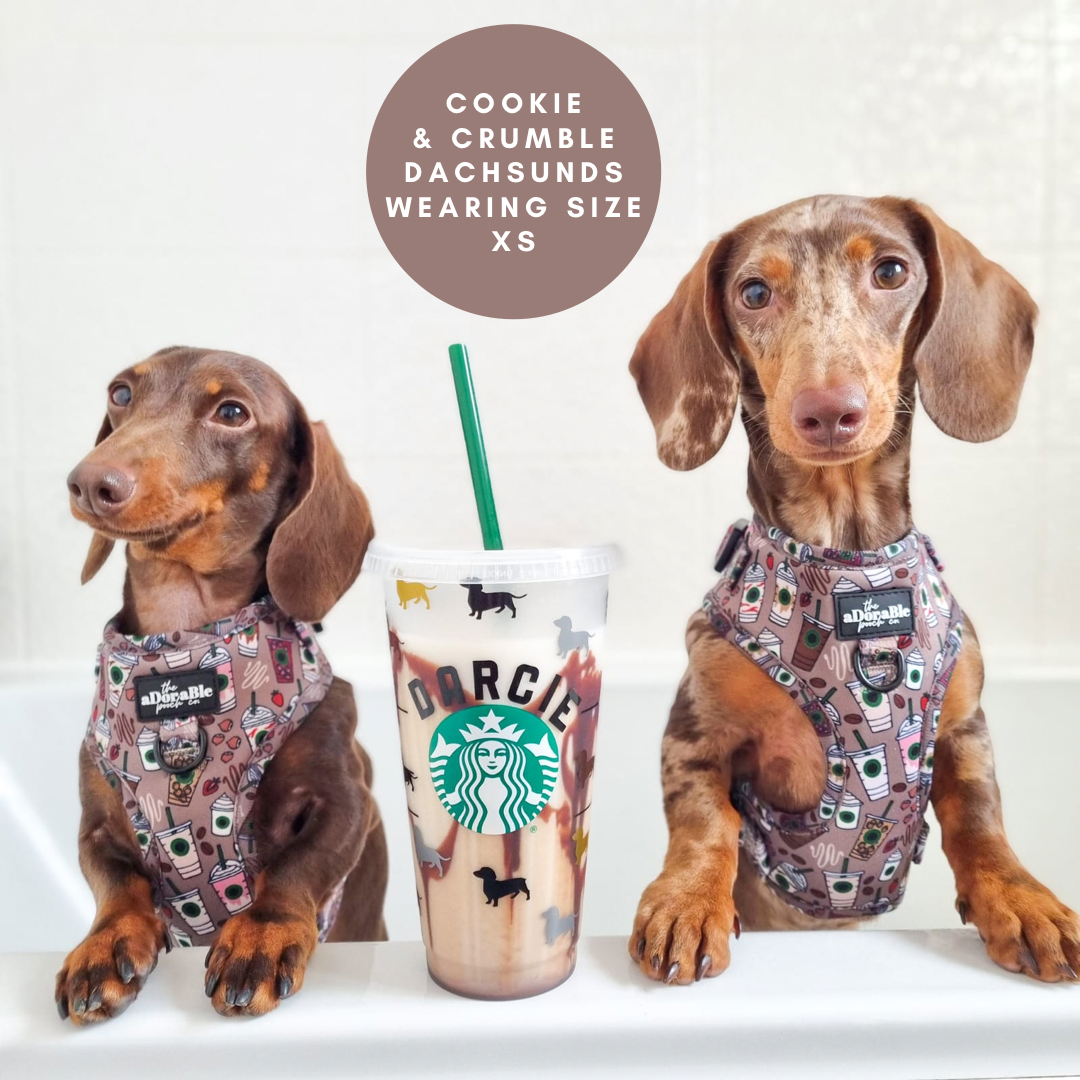 Adjustable Harness - Starbarks Frappé Hour