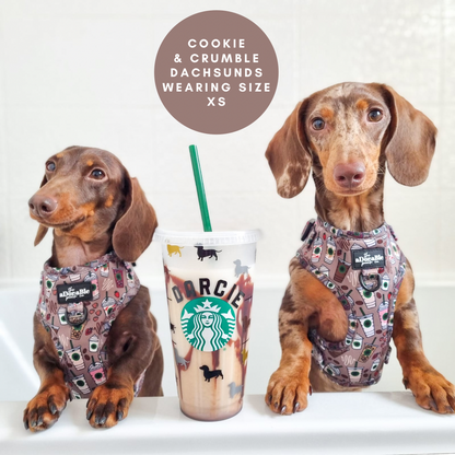 Adjustable Harness - Starbarks Frappé Hour