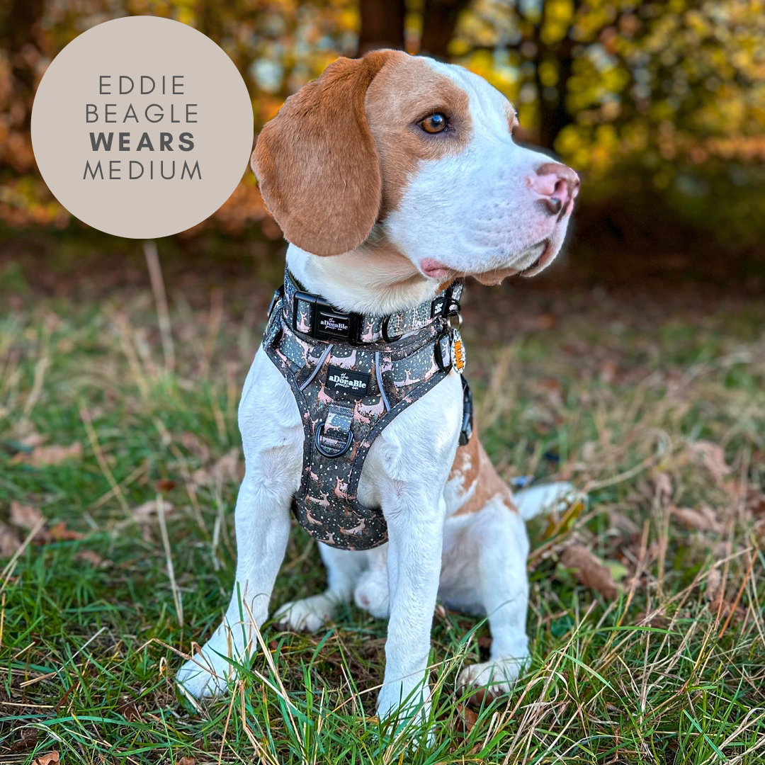 Hike & Go™ Harness - Nature Trails