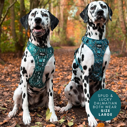 Hike & Go™ Harness - Woodland Walks