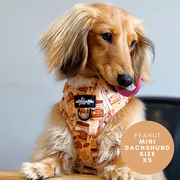 Adjustable Harness - Peanut Pupper