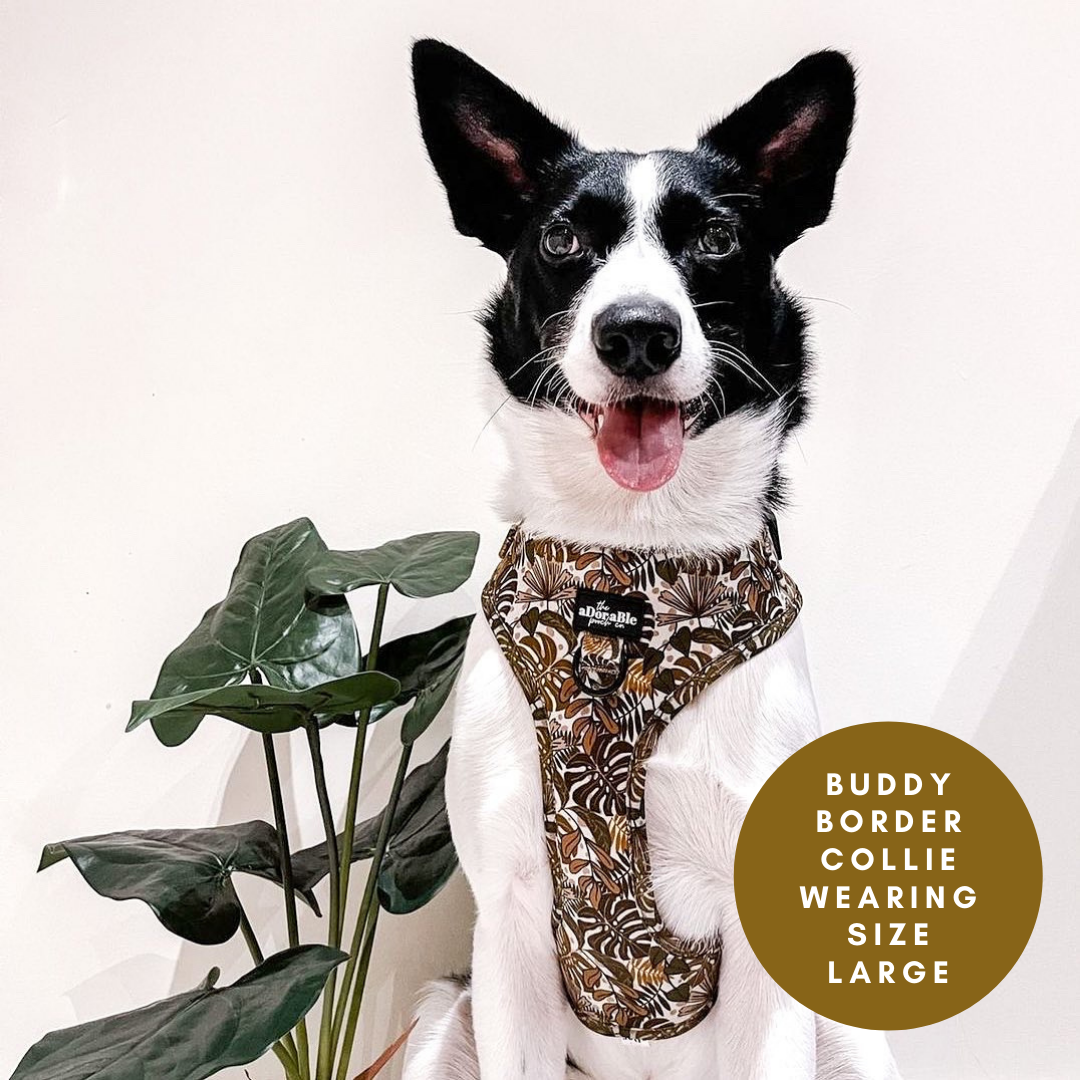 Adjustable Harness - In The Jungle - XS
