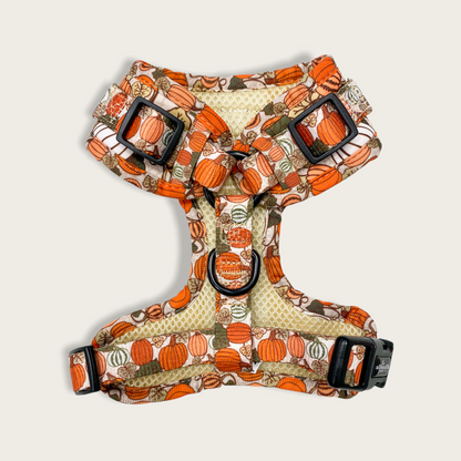 Adjustable Harness - Pumpkin Patch