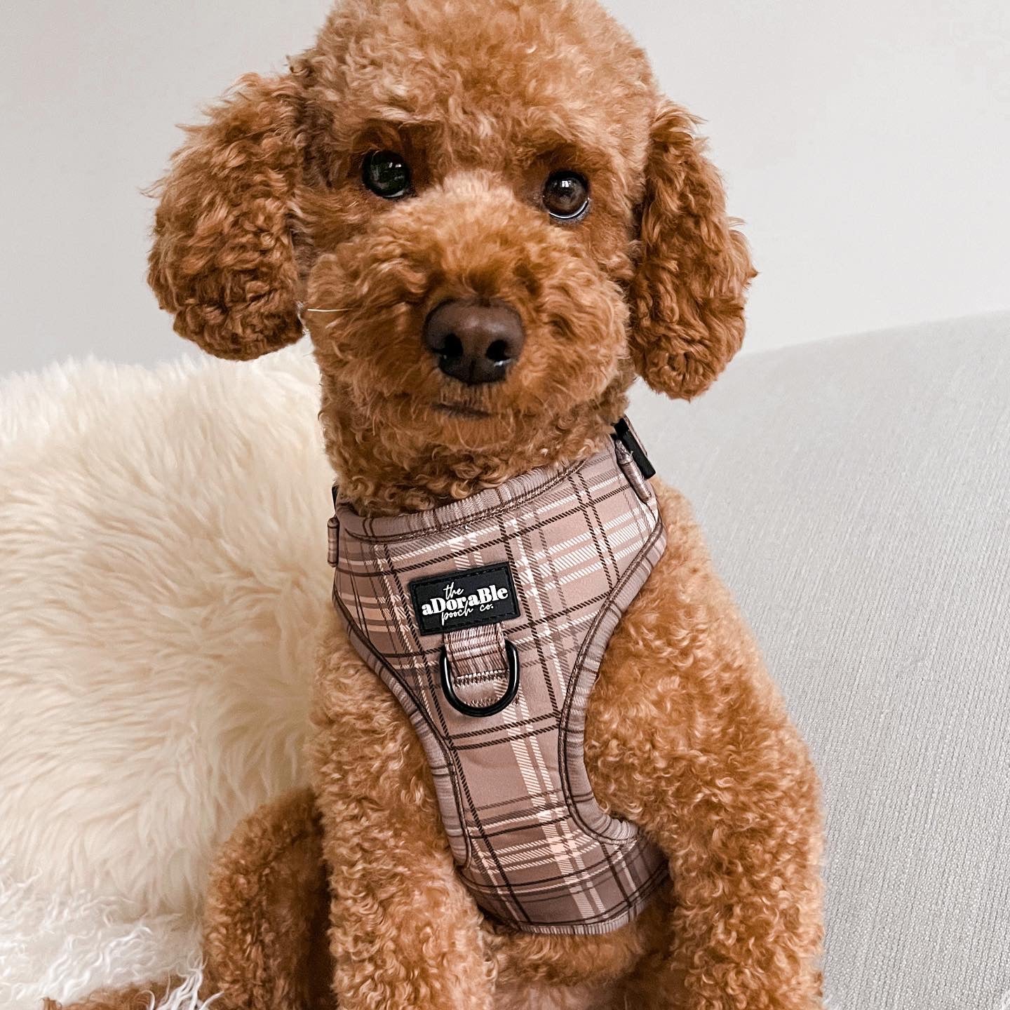 Adjustable Harness - LUXE Mocha Plaid